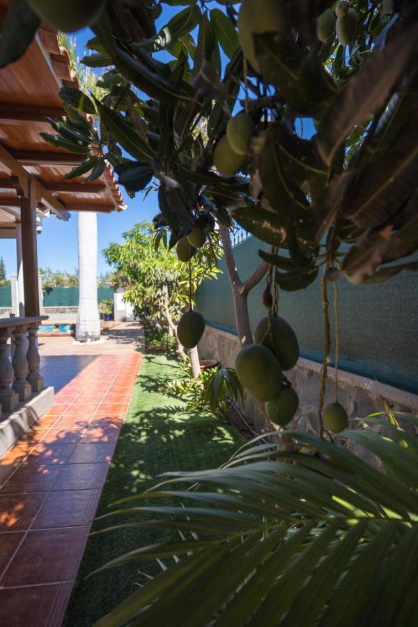 Villa Cosmopolitan En Maspalomas Cerca De Las Dunas المظهر الخارجي الصورة